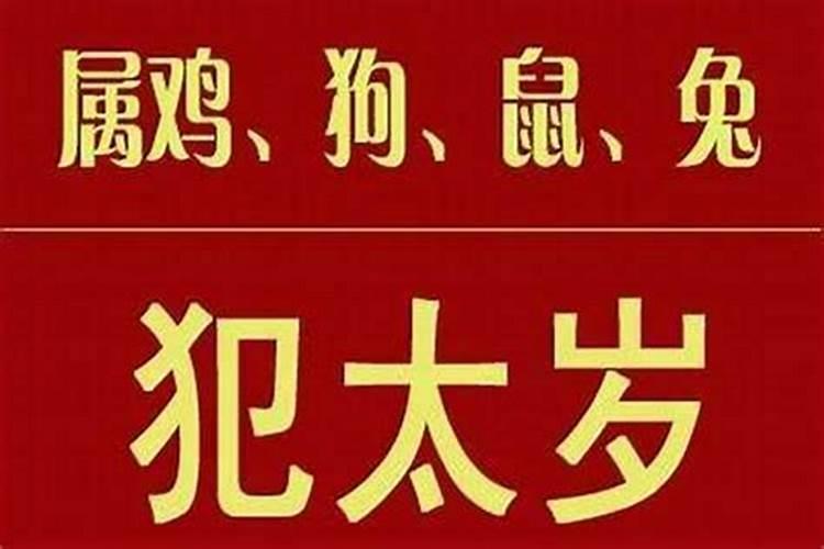鼠年感恩节出生的男宝五行缺什么命运解析