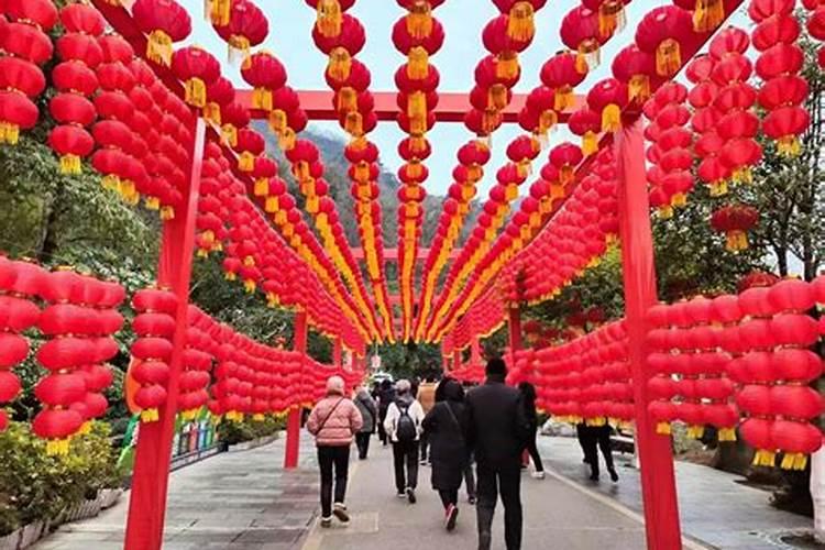 生肖羊2025年运势 属羊2025年运势及运程