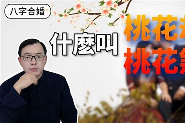 十兔九苦最命苦的兔几月出生 几月出生的属兔人命不好