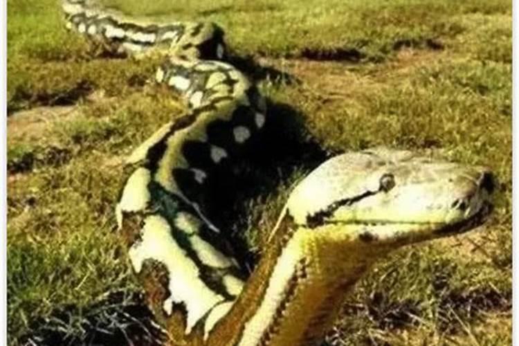 梦到目睹别人坠楼身亡