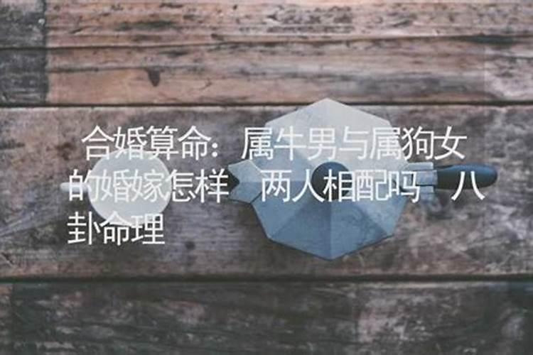 属牛的女人和什么属相最配