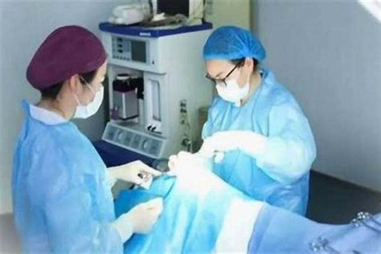 三月十五号是什么节日