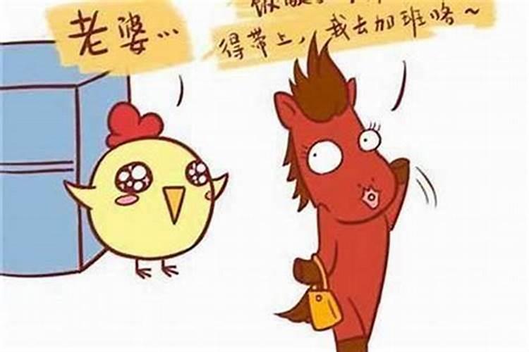 属鸡男和属马女的婚姻相配吗
