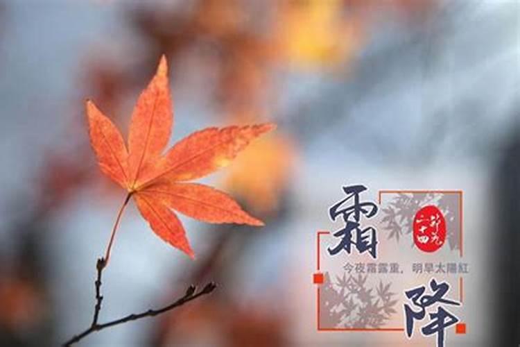 农历九月初九有什么忌讳