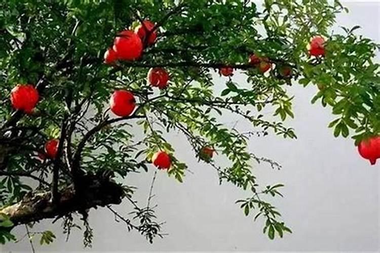 各地腊八节的风俗有哪些