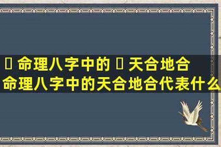 八字合婚天合地合 年柱与月柱天合地合是什么意思？