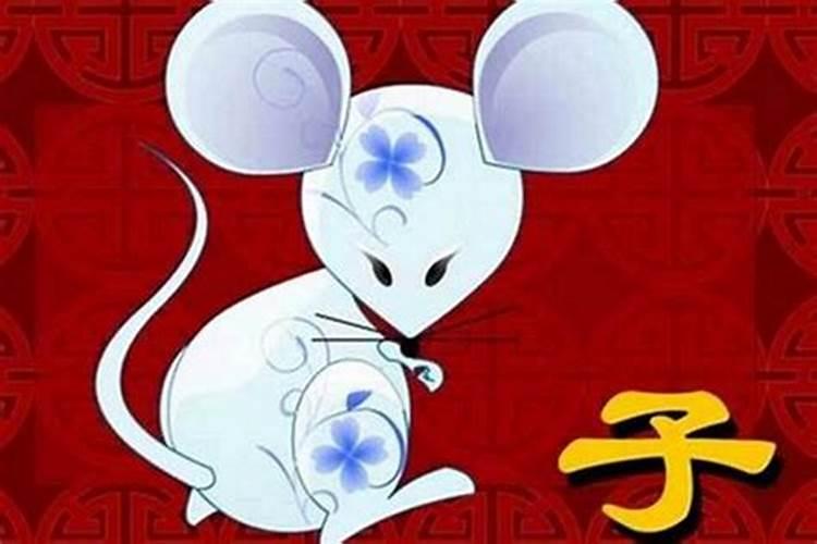 60年属鼠人未来三年2024到2026运势好吗