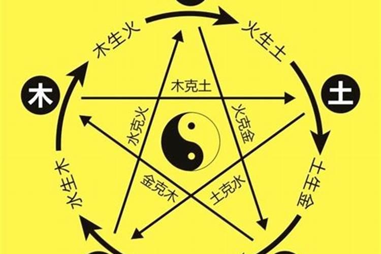 插茱萸的由来和寓意