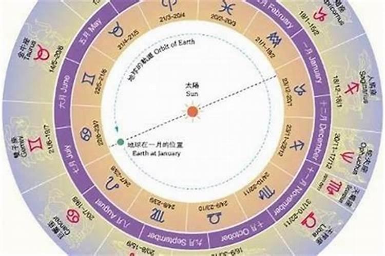 2025年生肖猪1983年运势
