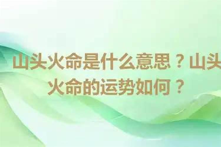 属猪1995山头火命详解