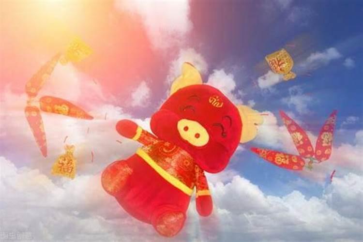 属马的人在猪年是不是有什么忌讳呢