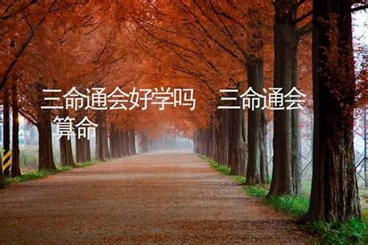 算命怎么自学入门