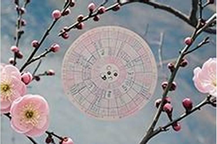 梅花易数入门难吗