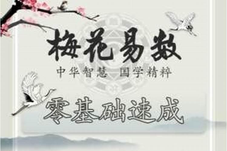 这位师兄,奇门,梅易八卦,姓名学,四柱,你觉得那个更实用