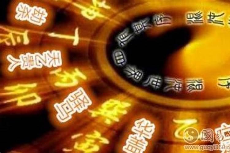 属蛇人今年运势2025年运势如何