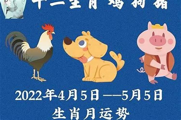 植物的习俗文化