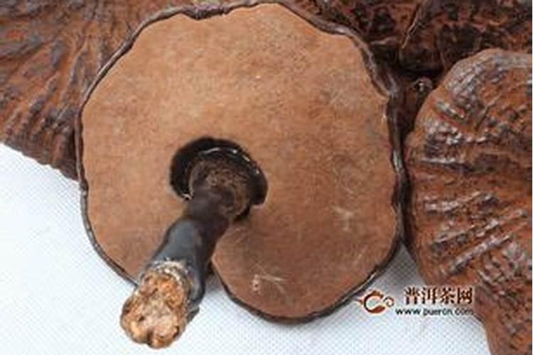 房屋的文昌位在什么地方？有没有人了解？