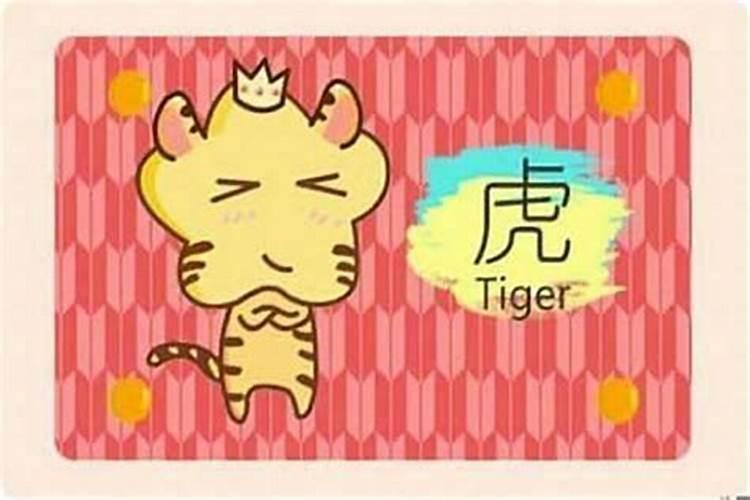 如何看自己的八字