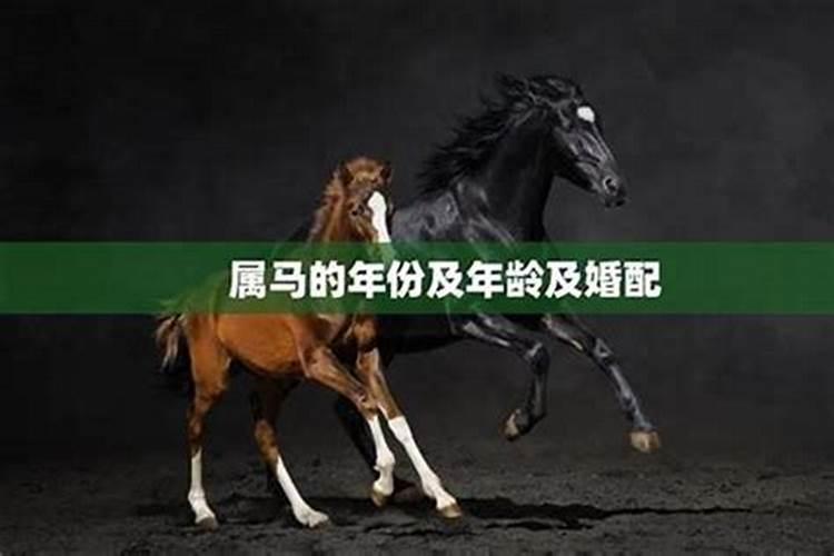 92年猴男2025年全年运势