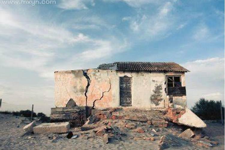 属虎2025年犯太岁怎么化解