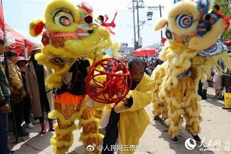 08年4月的2025年的运势怎么样？