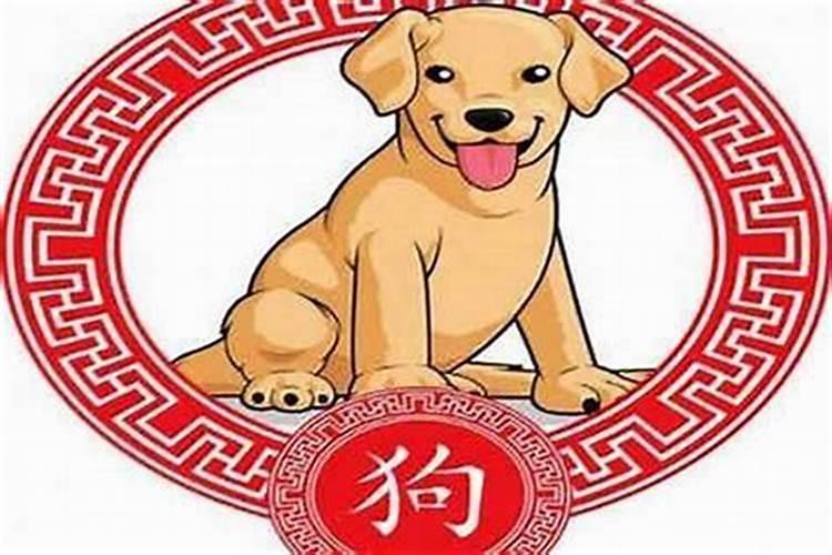 生肖狗2025年运势及运程如何
