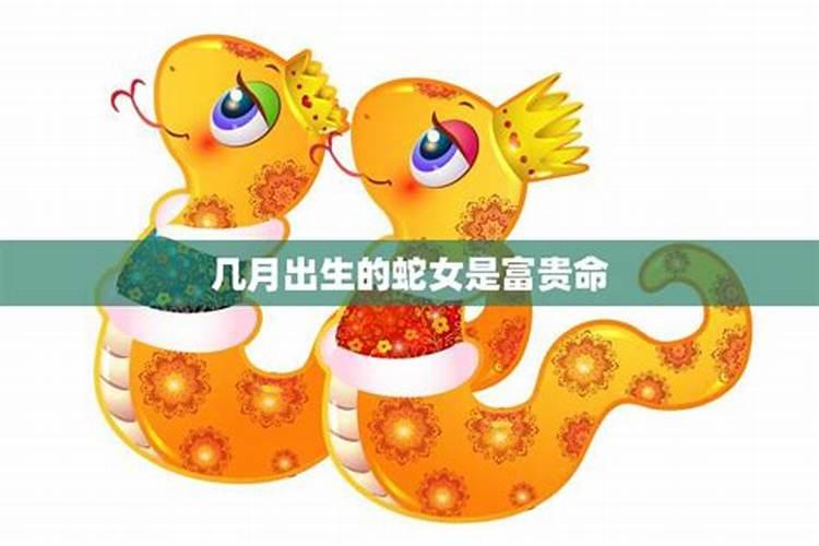 立冬后属蛇人运势,属蛇的冬月出生好不好