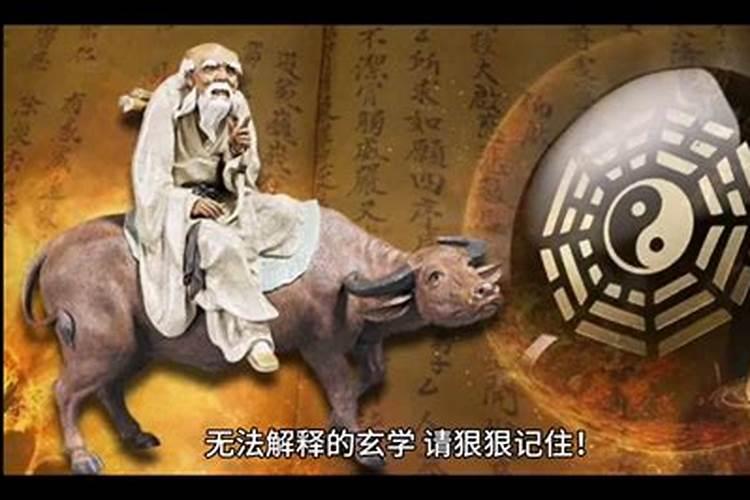 86年属虎人的生辰八字命运