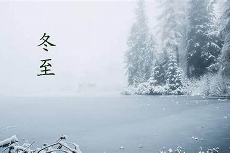 94年属狗女未来十年运势