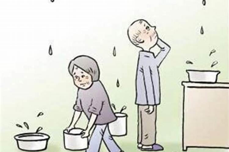 属蛇的最佳婚配配偶哪个属相最好 女生蛇属相男人女人和什么属相最配最...