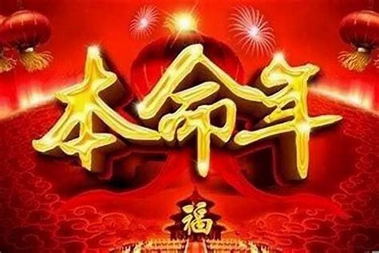 属蛇和属鼠的合不合