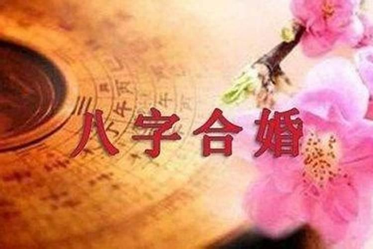 八字合婚的主要要素有哪些？