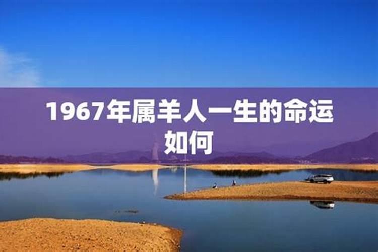 端午节活动的形式