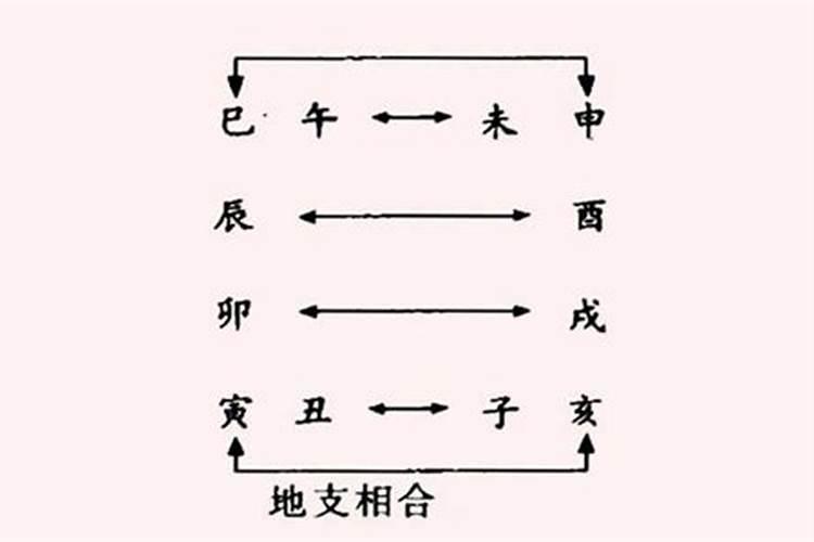 地支地支作用