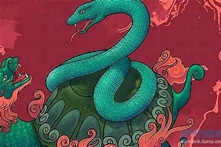 蛇在酉鸡落富贵定不错是什么意思