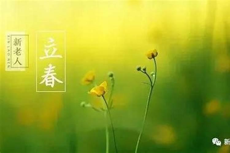 正月十五是什么星座