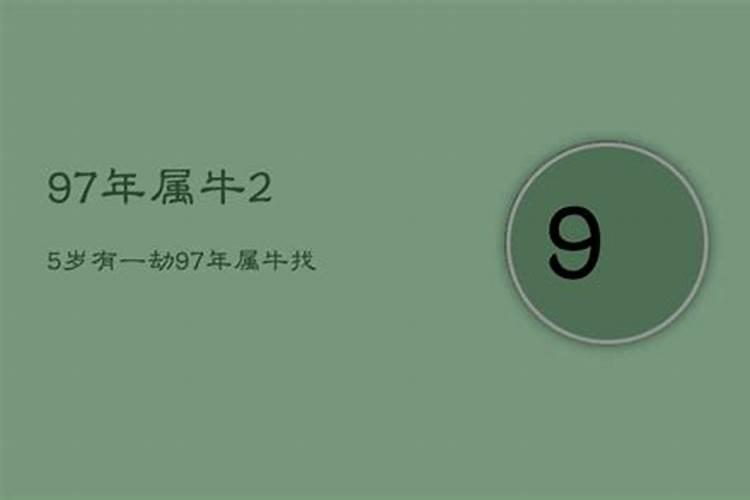 1997属牛2025年运势运程如何