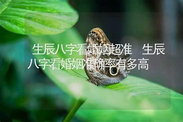 八字中的十神是怎样排序的？