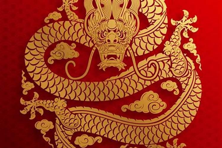 属兔在蛇年运势2025年运势