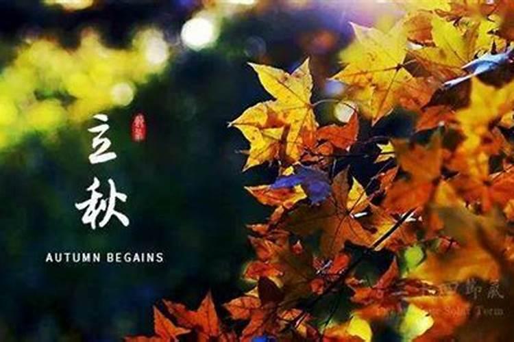 如何通过生辰八字查询五行缺什么？