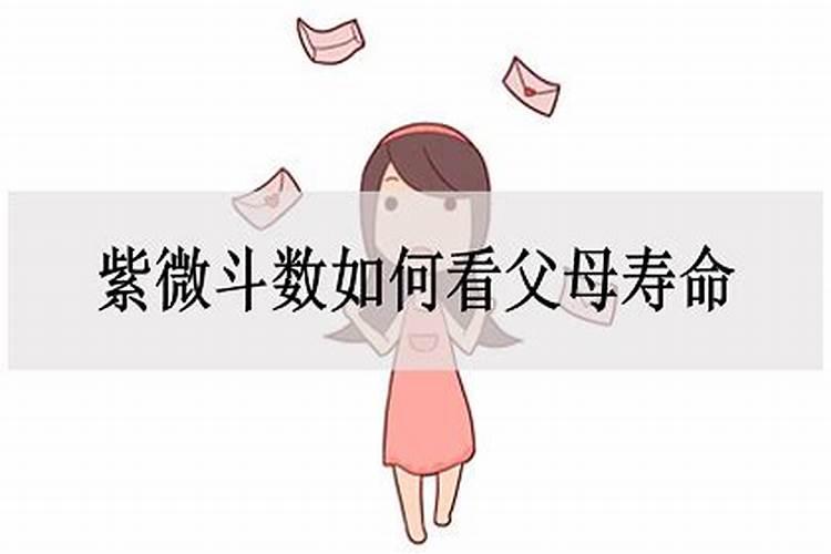 1971年2025年属猪人的全年运势