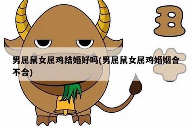 93年属鸡男与96年属鼠女八字合吗,属鸡与属鼠相配吗？