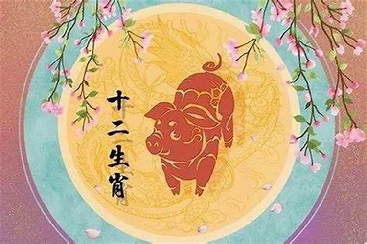 1959年属猪2024年运势及运程详解59年属猪人2024年龙年每月运程百度...