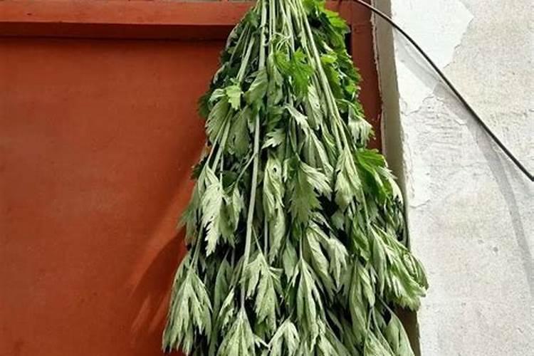 端午节艾草怎么挂门上