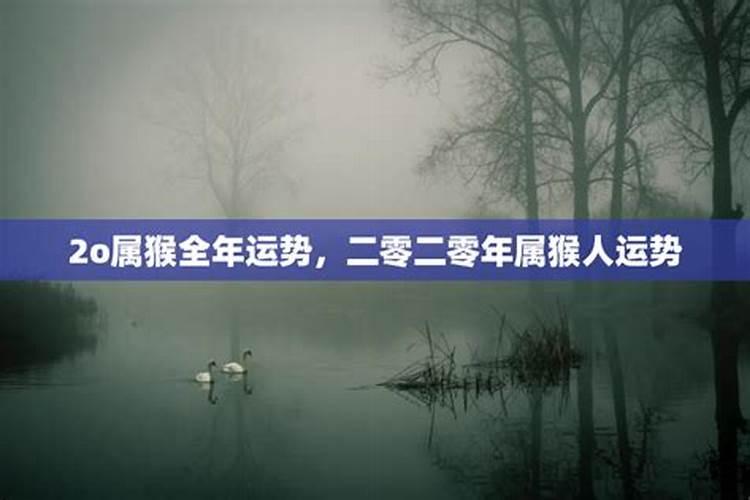 属猴1956年l2月十日生人9年运势,身体状况如何
