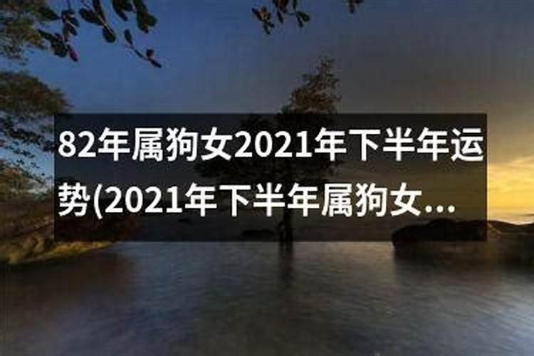 1982年的属狗女2025年的运势