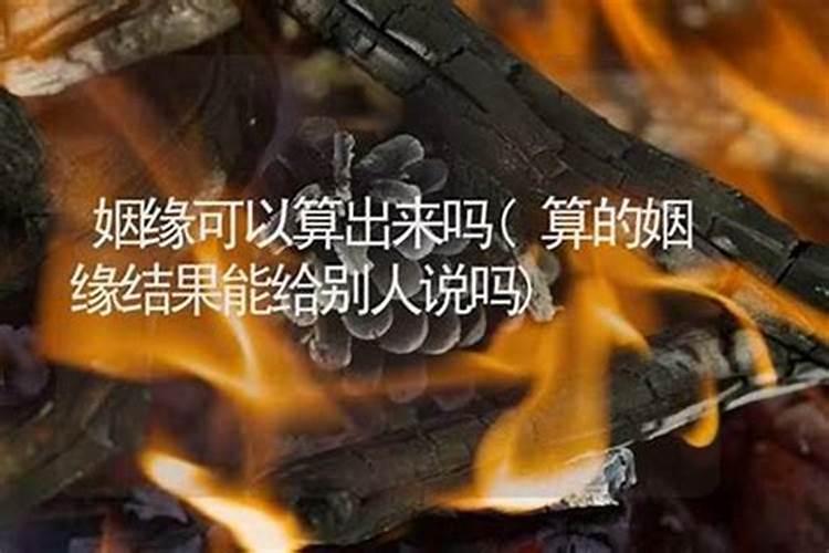 属鸡的人和属鸡的人相结合好不好？