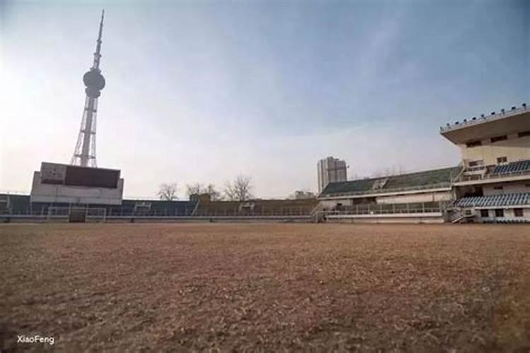 我是1988年农历八月十五早上两点半出生,想问一下我五行中都有什么,缺...