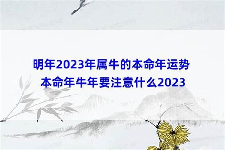 鼠年属马的佩戴什么好,属马的人应该佩戴什么生肖