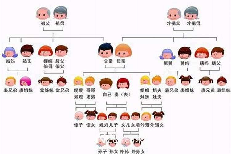 80年的猴2025每月运势
